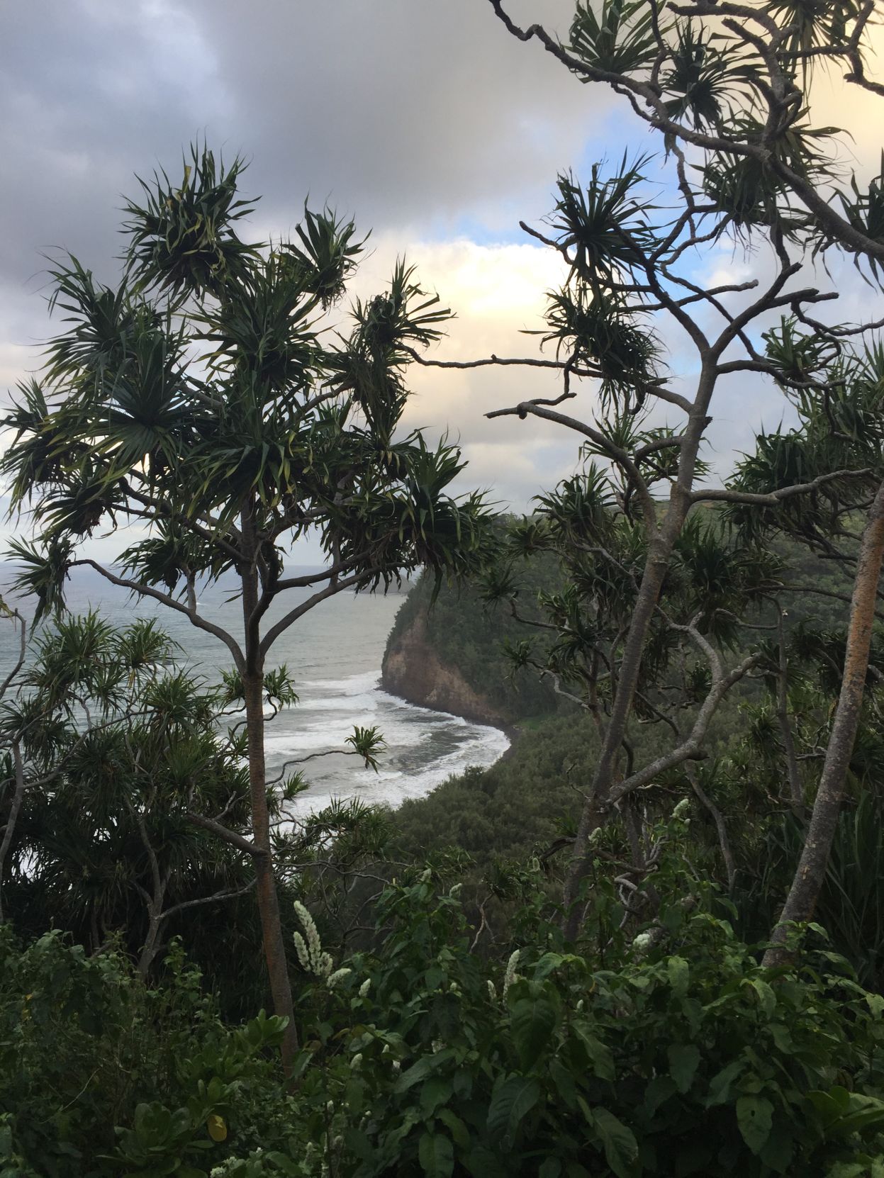 Pololu Valley Lookout
